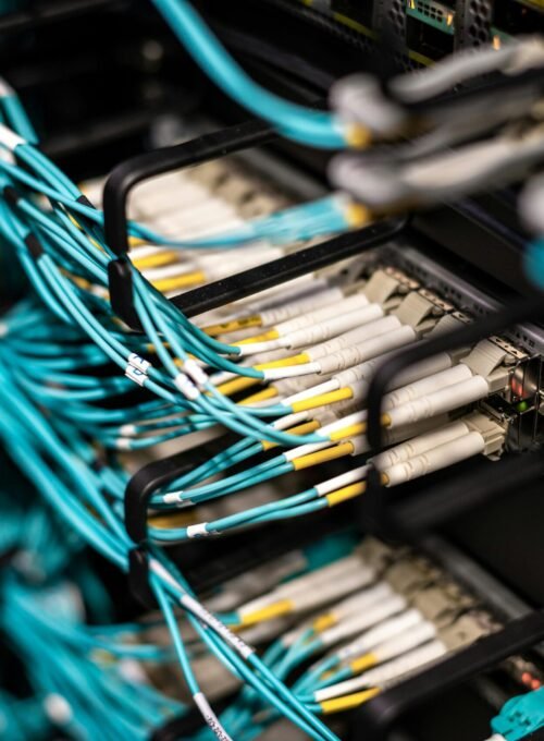 Numerous wires and cables mounted into server patch panel in modern data center